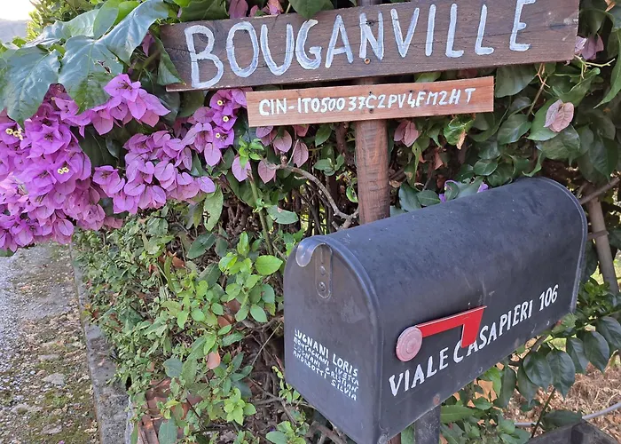 Casa Vacanze “Bouganville” Loc Avane Pisa